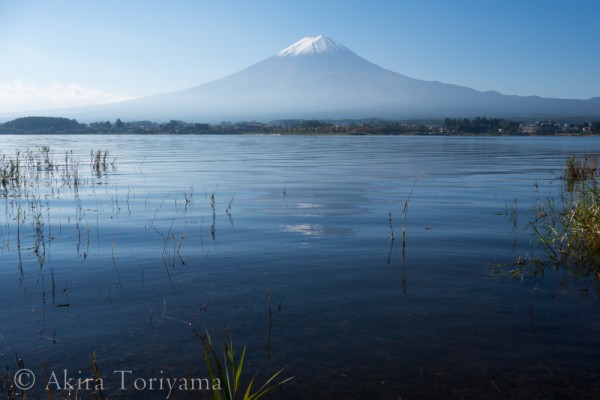 初冠雪の富士山と冬の色に変わってきた湖面　河口湖にて